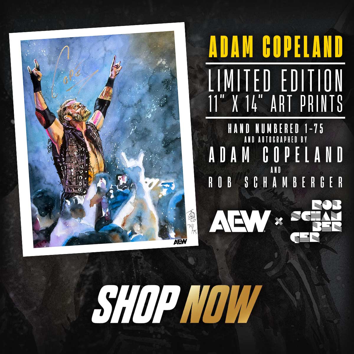 ShopAEW | All Elite Wrestling T-Shirts & Merchandise – shopAEW
