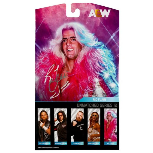 AEW Unmatched Luminaries Ric Flair - 6-Inch Figure Product Image 2