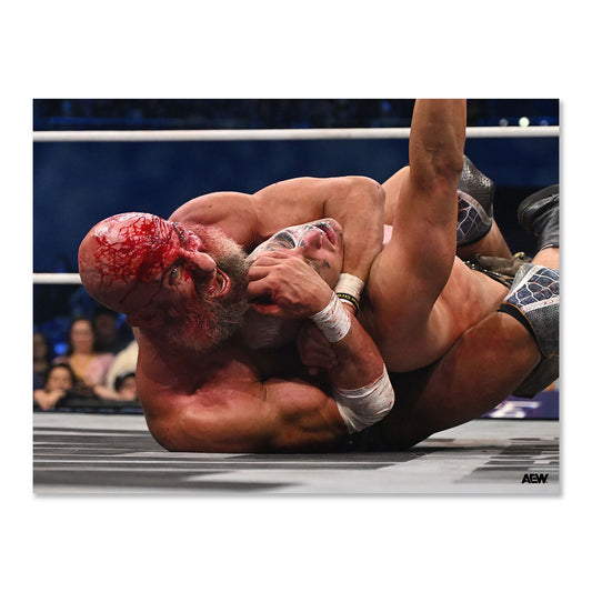 Tommaso Ciampa Finds His Wrestling Soulmate - AEW Dynamite 4-22-2026 - Memorable Moments Art Print By Speedy