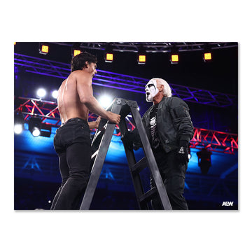 The Past and The Future - Steve Borden Jr and Sting - AEW All In 2026 - Memorable Moments Art Print By Ricky Havlik