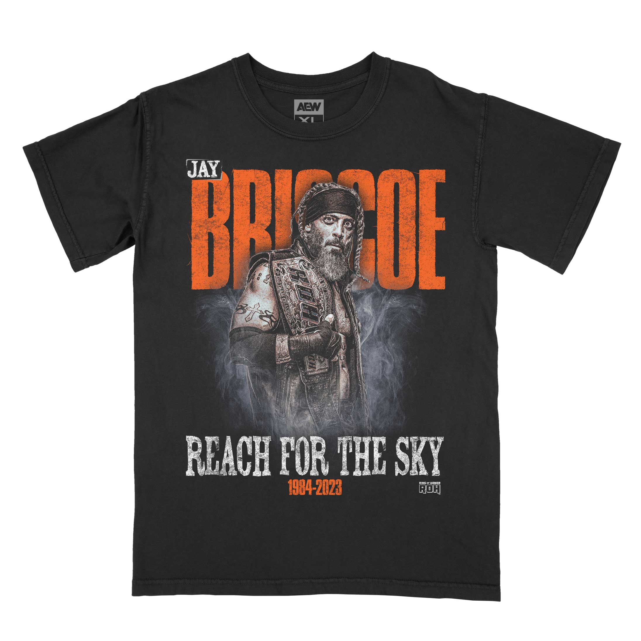 jay-briscoe-reach-for-the-sky-